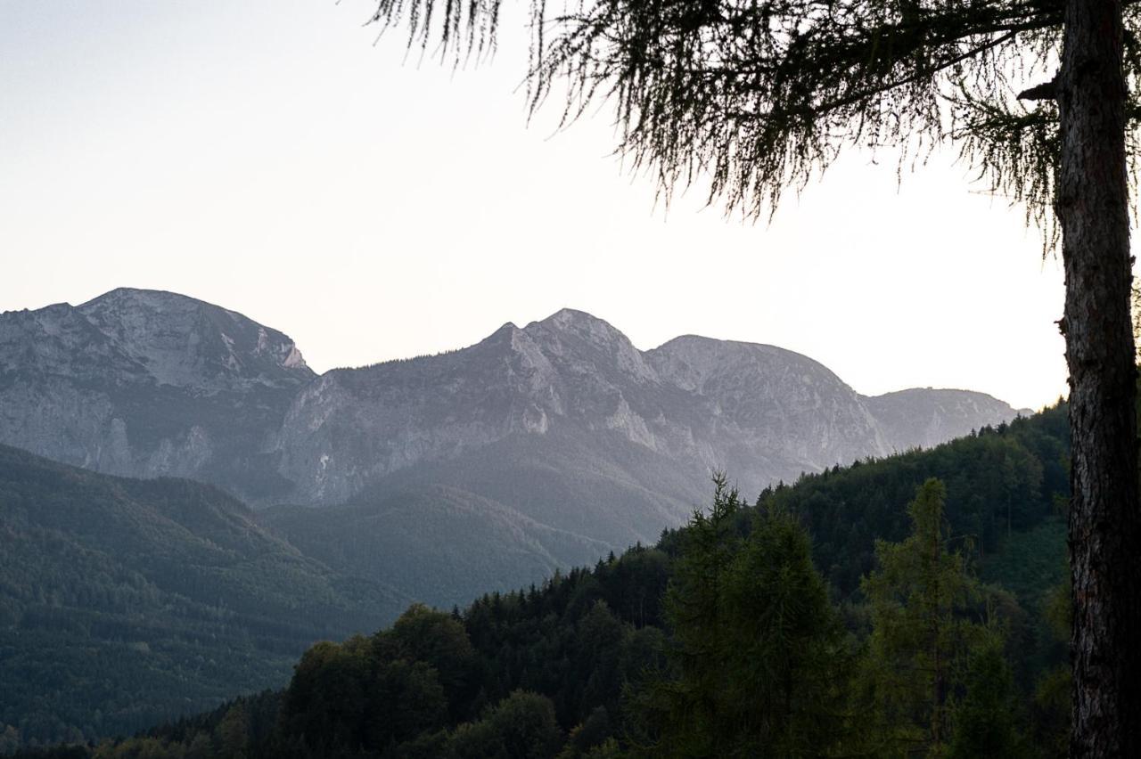 Kreitalm - Kraftplatz Im Salzkammergut Neukirchen  Exteriör bild